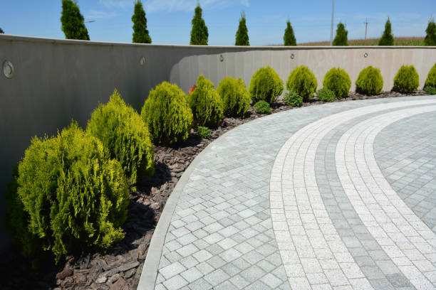 Best Driveway Paving Contractor  in Haskell, TX